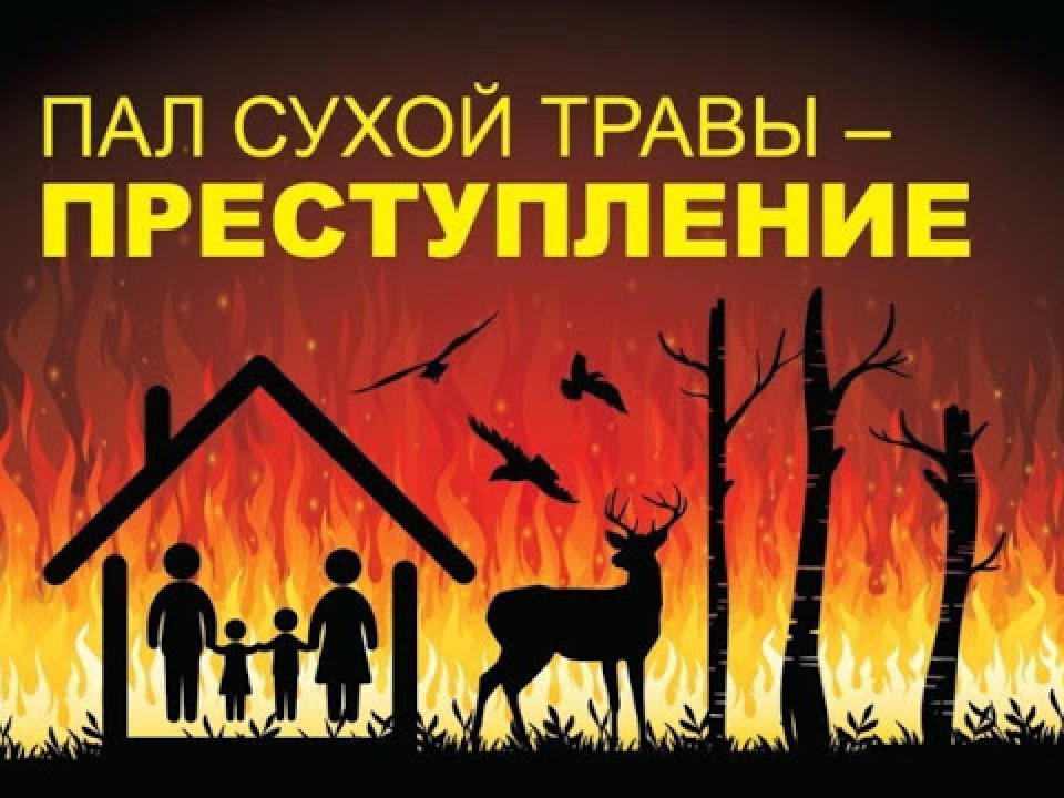 Основные правила профилактики палов травы.