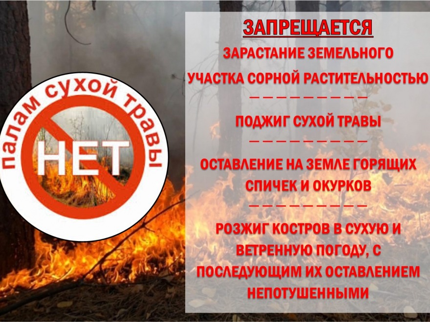 Основные причины возникновения природных пожаров.