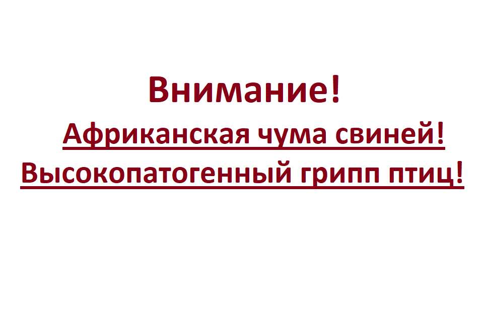 Памятки и рекомендации.