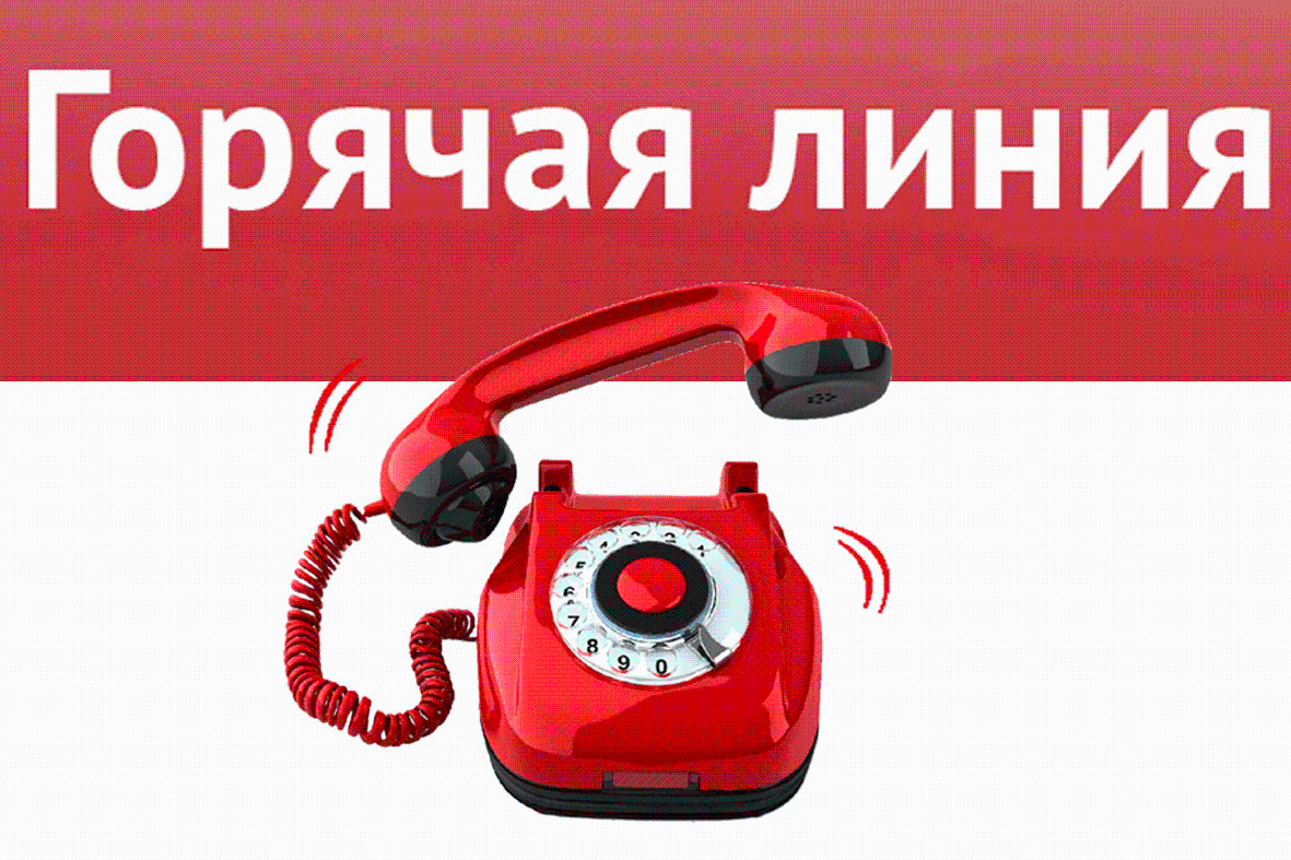 Региональный Роскадастр проводит горячую линию по вопросам предоставления консультационной помощи по оформлению Арктического и Дальневосточного гектара.